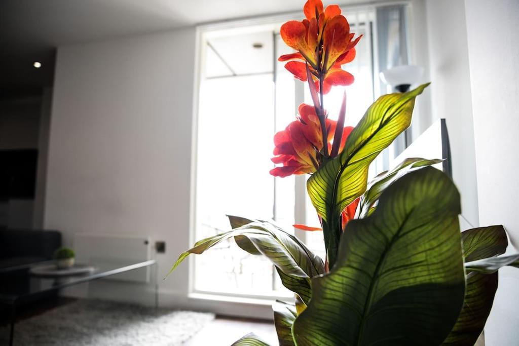 מנצ'סטר Modern 2 Bedroom Apartment - City Centre - Parking מראה חיצוני תמונה
